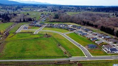 Discover Willow Creek Manor in the heart of the famous Sequim - photo 4
