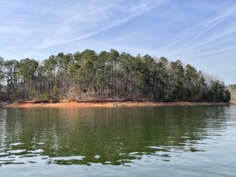 LL238 - Lake Lot For Sale in Wedowee, Alabama