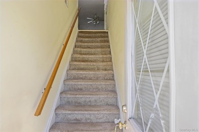 BRIGHT SUNNY UPPER BRISTOL. 1200 SQ LIVING SPACE. LARGE KITCHEN - photo 3