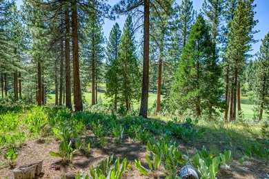 Panoramic views of the 18th hole and golf course fairway - photo 8