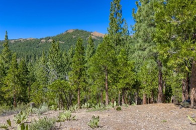 Accent on views! 1.39 acre hilltop homesite offering panoramic - photo 8