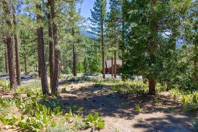 Accent on views! 1.39 acre hilltop homesite offering panoramic - photo 9