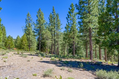 Accent on views! 1.39 acre hilltop homesite offering panoramic - photo 10