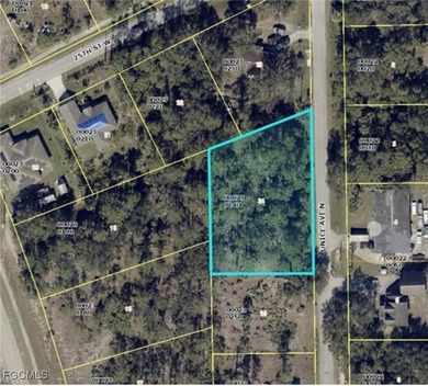 Lehigh Acres Area Lot For Sale in Lehigh Acres Florida