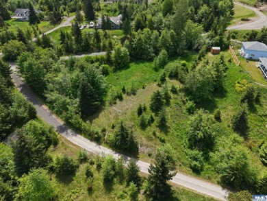 Prime 3-Acre Building Site with Strait Views in Sequim's Happy - photo 1