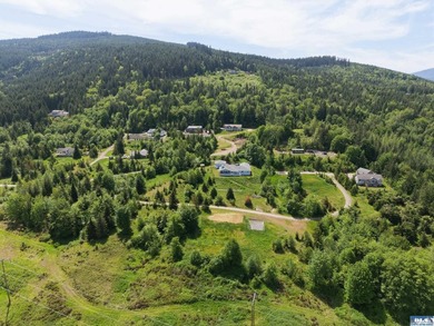 Prime 3-Acre Building Site with Strait Views in Sequim's Happy - photo 3