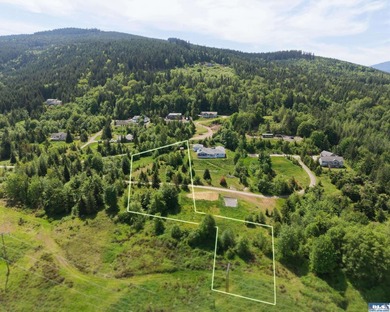 Prime 3-Acre Building Site with Strait Views in Sequim's Happy - photo 4