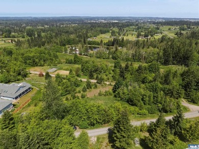 Prime 3-Acre Building Site with Strait Views in Sequim's Happy - photo 7