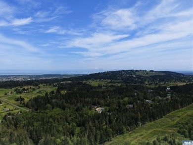 Prime 3-Acre Building Site with Strait Views in Sequim's Happy - photo 9