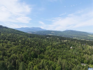 Prime 3-Acre Building Site with Strait Views in Sequim's Happy - photo 10