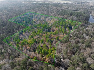 Lake Acreage For Sale in Palestine, Texas