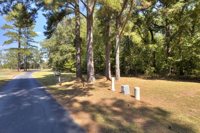 This spacious 1.01-acre partially cleared lot offers the perfect - photo 4