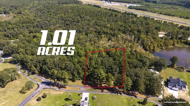 This spacious 1.01-acre partially cleared lot offers the perfect - photo 6