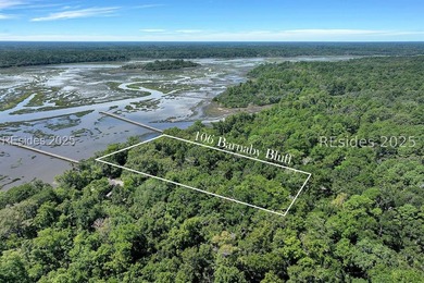 (private lake, pond, coastal) Lot For Sale in Seabrook South Carolina