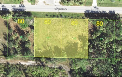 Buildable double lots in the waterfront community of Palm Shores - photo 2