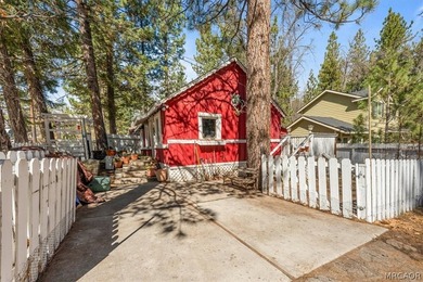 Charming vintage cabin in the heart of Big Bear Lake offering - photo 1