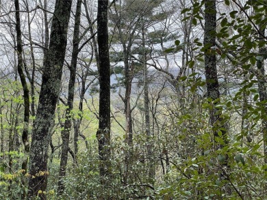 Lake Lot For Sale in Lake Toxaway, North Carolina
