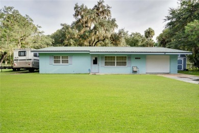 Lake Home For Sale in Lake Panasoffkee, Florida