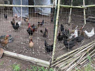 Charming 2-4 Bedroom Home with Bonus Tiny House on 2+- Acres