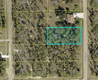Lehigh Acres Area Lot For Sale in Lehigh Acres Florida