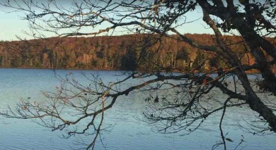  Acreage For Sale in Port Maitland 