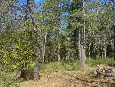 Lake Lot For Sale in Arnold, California