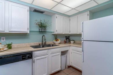 This wonderful two bedroom and two bathroom condominium is - photo 8