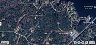 Lake Lot For Sale in Buckhead, Georgia