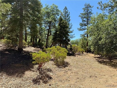 Experience the charm of a nearly century-old Big Bear cabin-full - photo 10