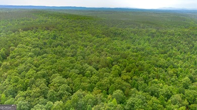 Additional listing photo 1