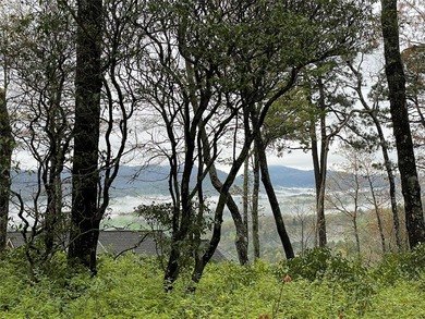 (private lake, pond, creek) Acreage For Sale in Sapphire North Carolina