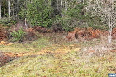 A gem in Sequim! There's a reason this parcel feels like a - photo 11
