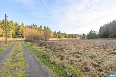 A gem in Sequim! There's a reason this parcel feels like a - photo 12