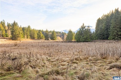 A gem in Sequim! There's a reason this parcel feels like a - photo 13
