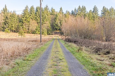 A gem in Sequim! There's a reason this parcel feels like a - photo 14