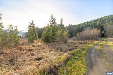 A gem in Sequim! There's a reason this parcel feels like a - photo 16