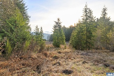 A gem in Sequim! There's a reason this parcel feels like a - photo 17