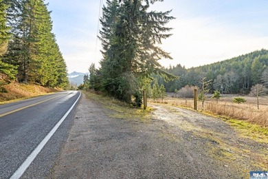 A gem in Sequim! There's a reason this parcel feels like a - photo 18