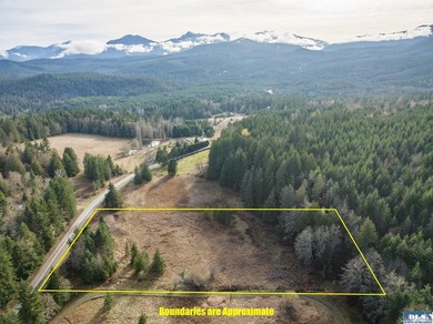 A gem in Sequim! There's a reason this parcel feels like a - photo 20
