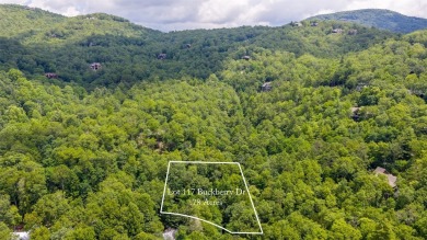 Lake Lot For Sale in Sapphire, North Carolina