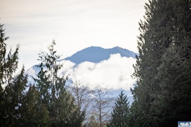 A gem in Sequim! There's a reason this parcel feels like a - photo 21