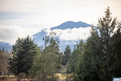 A gem in Sequim! There's a reason this parcel feels like a - photo 22