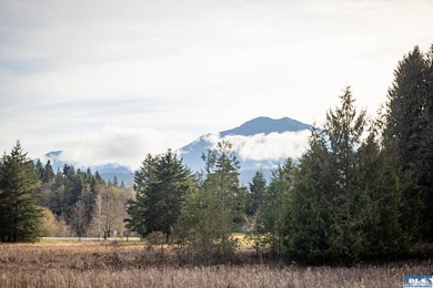 A gem in Sequim! There's a reason this parcel feels like a - photo 23