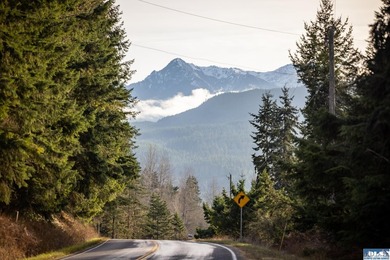 A gem in Sequim! There's a reason this parcel feels like a - photo 26