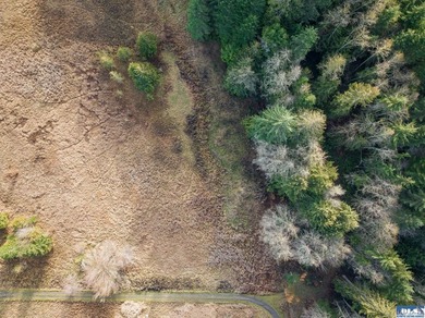 A gem in Sequim! There's a reason this parcel feels like a - photo 28