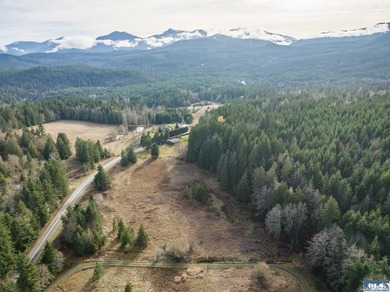 A gem in Sequim! There's a reason this parcel feels like a - photo 29