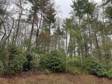 (private lake, pond, coastal) Acreage For Sale in Sapphire North Carolina