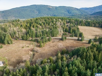 A gem in Sequim! There's a reason this parcel feels like a - photo 34