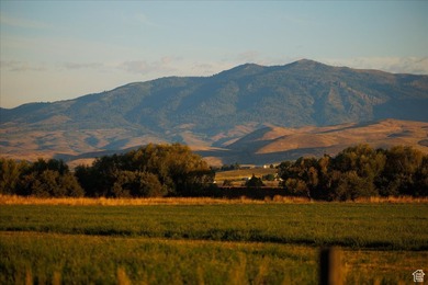 Discover an exceptional opportunity to own 1,265 acres of highly - photo 4