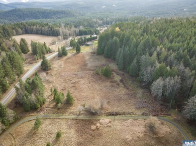 A gem in Sequim! There's a reason this parcel feels like a - photo 36